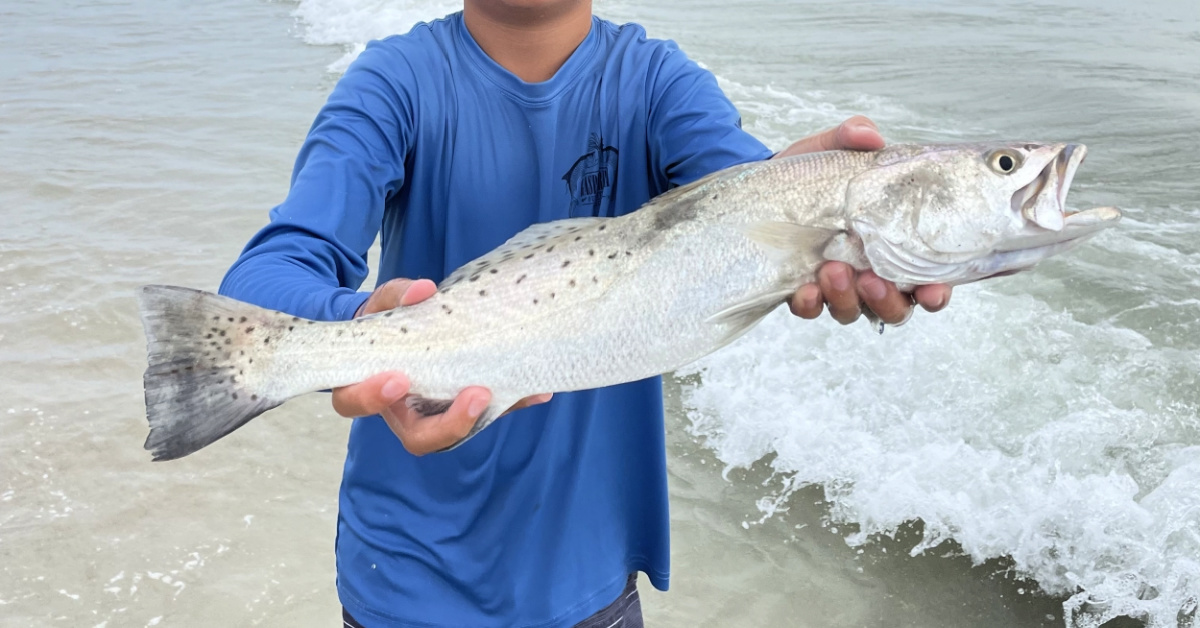 http://cal%20starling%20strong%20angler%20of%20the%20week