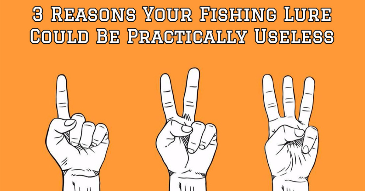 http://best%20fishing%20lure