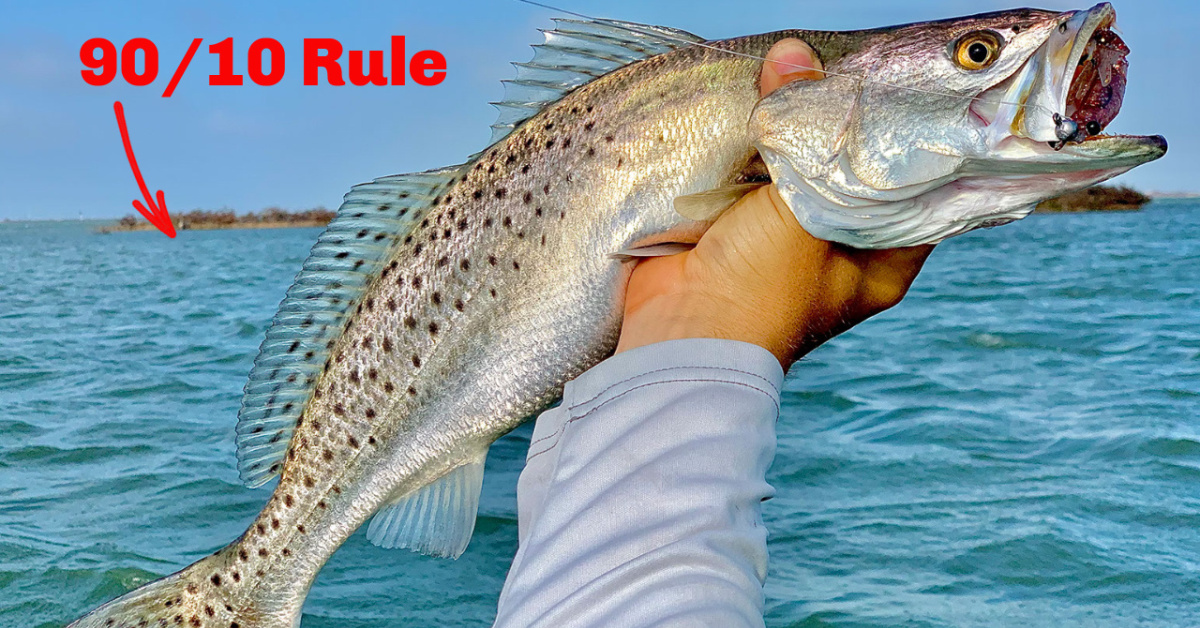 http://how%20to%20apply%20the%2090/10%20rule%20of%20fishing