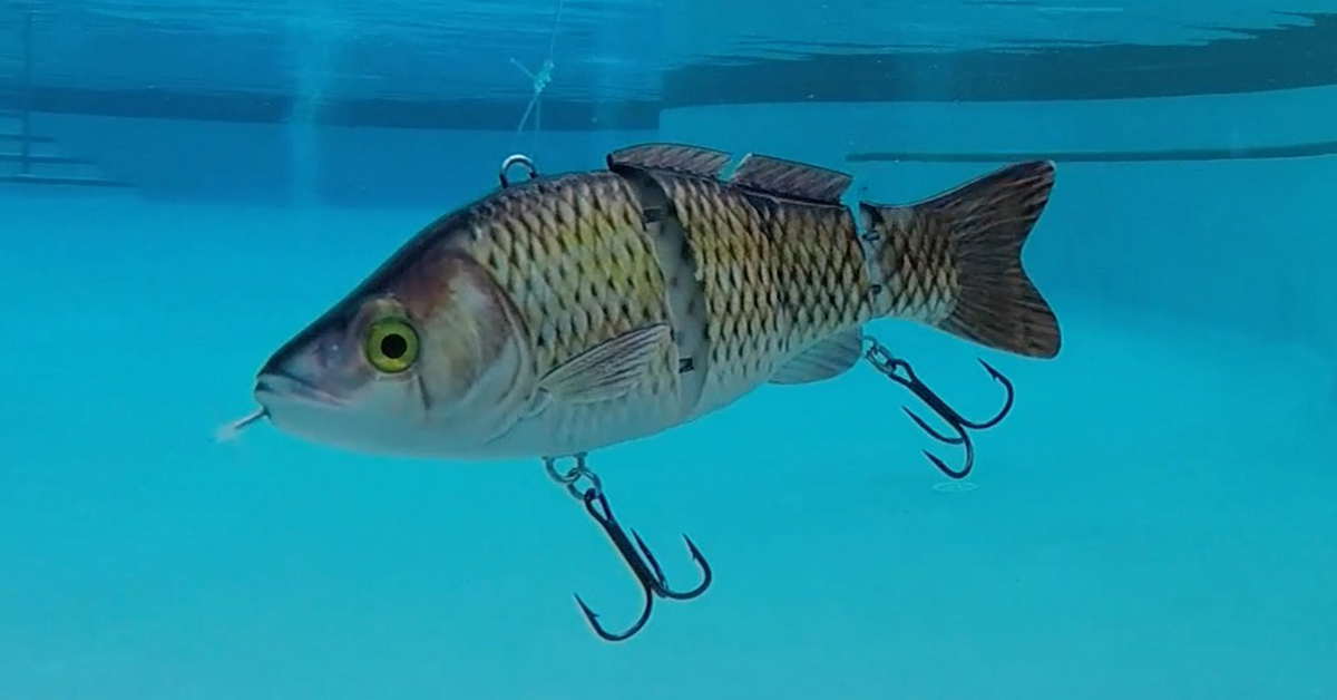 http://Animated%20Lure
