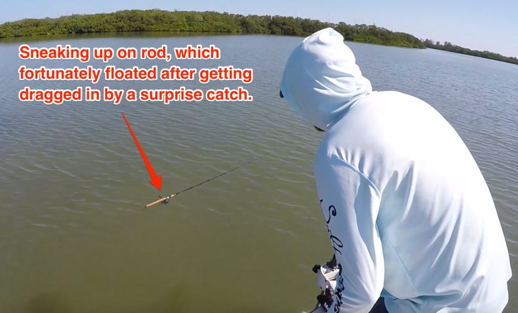 Anclote Fishing