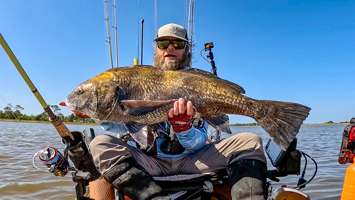 http://The%20Secret%20to%20Catching%20Black%20Drum%20on%20Artificial%20Lures