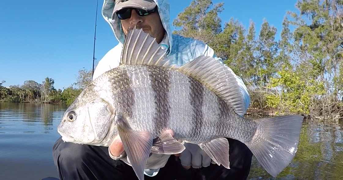 backcountry black drum