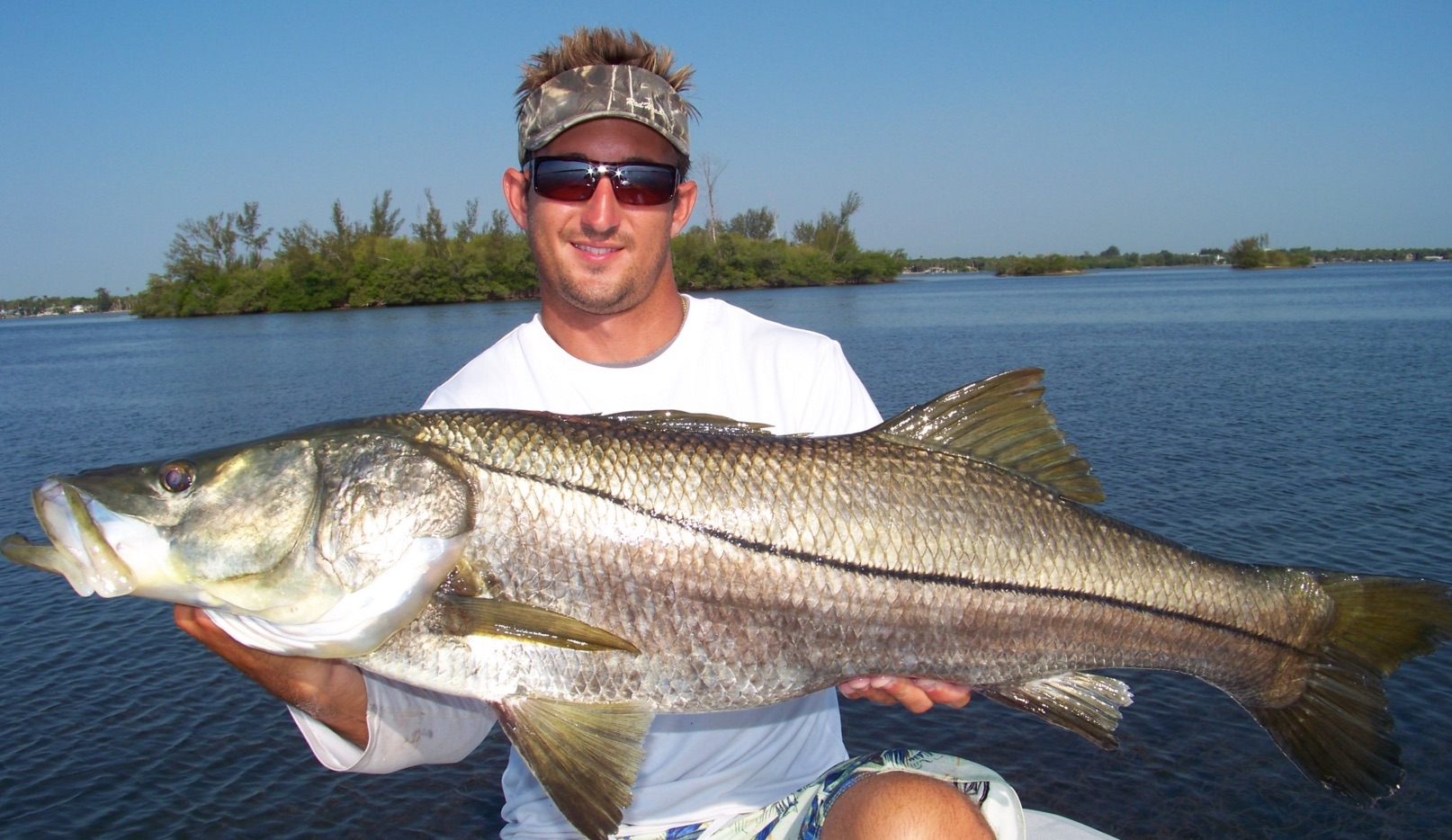 slob snook live bait fishing