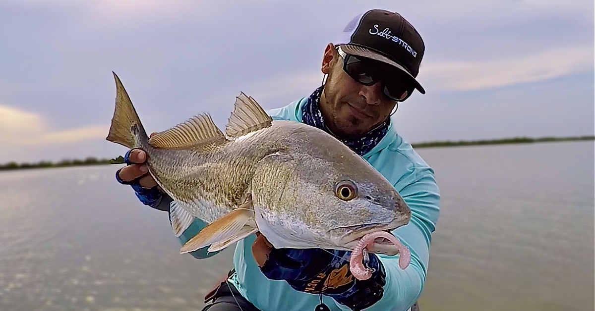 http://the%20best%20summer%20fishing%20lures