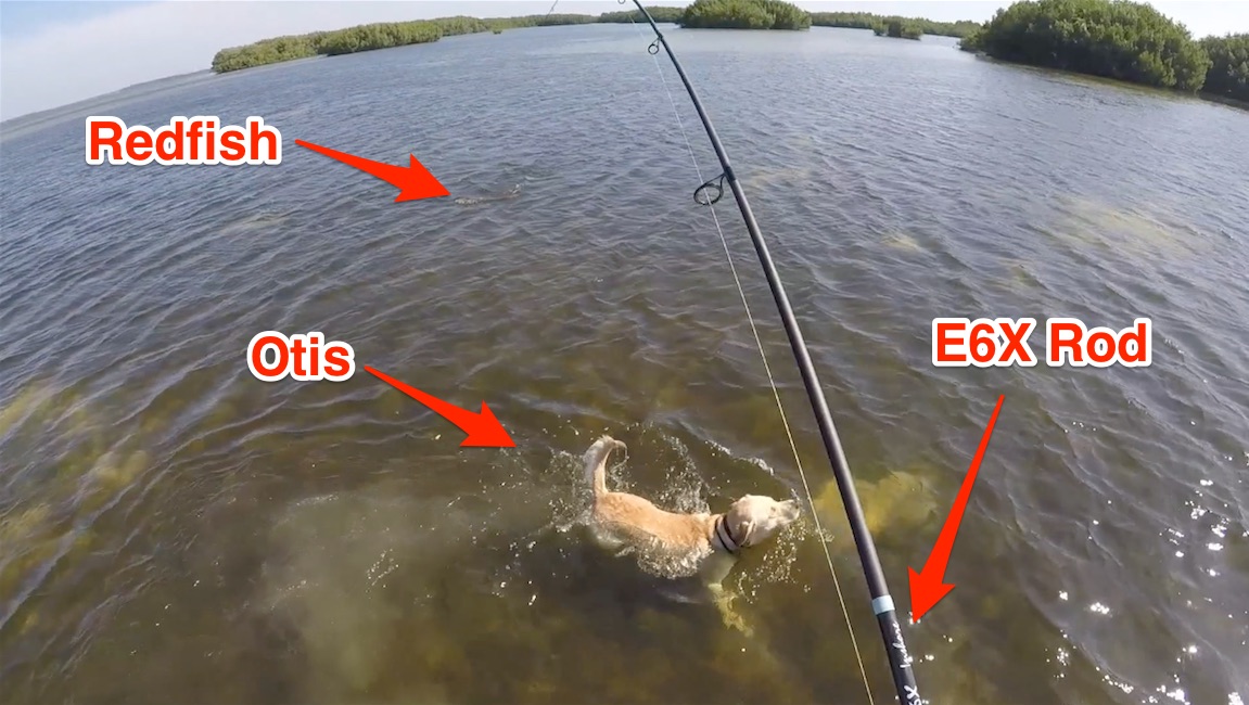 G loomis e6x rod review