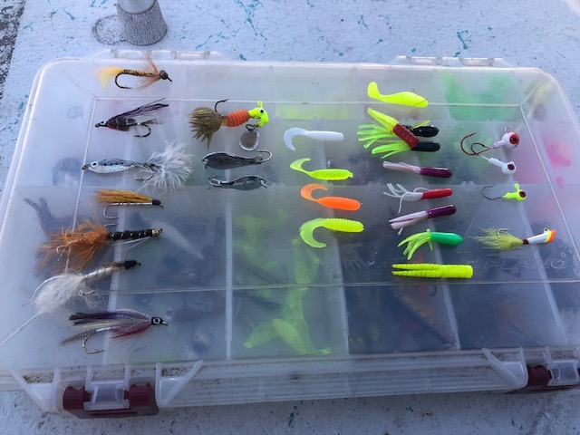 shad fishing baits