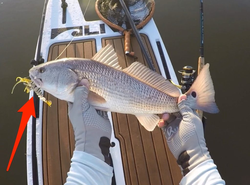 savage gear 3d shrimp