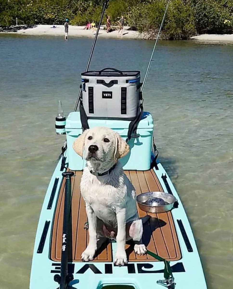 L2Fish paddleboard