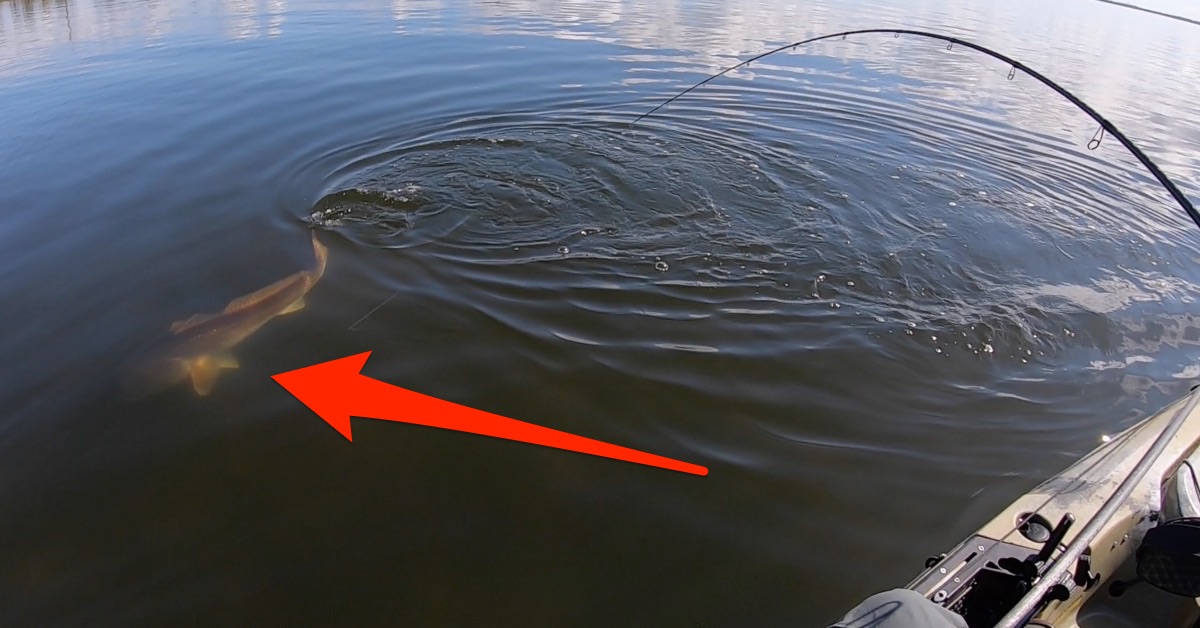 http://stop%20losing%20fish%20at%20the%20boat