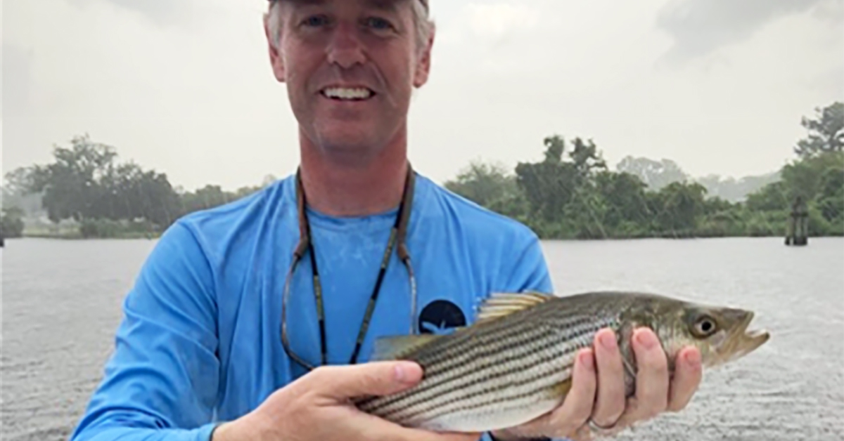 http://strong%20angler%20of%20the%20week