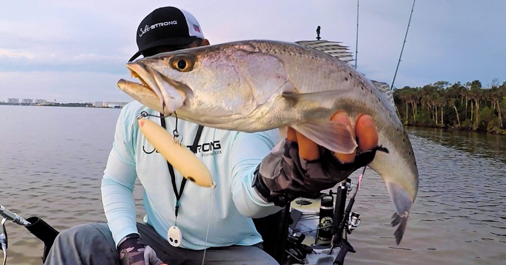 summer lures