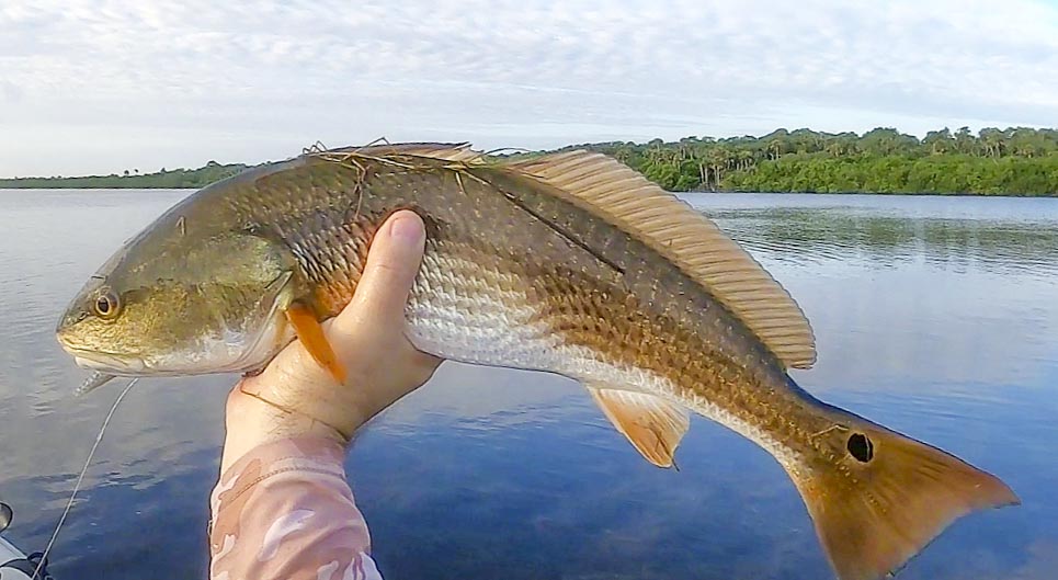 http://Finding%20the%20Pattern%20in%20an%20Area%20You%20Haven't%20Fished%20Recently%20%5BInsider%20Report%5D