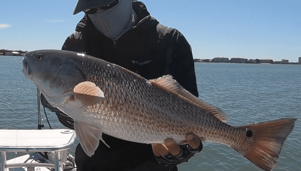 redfish inshore slam tournament