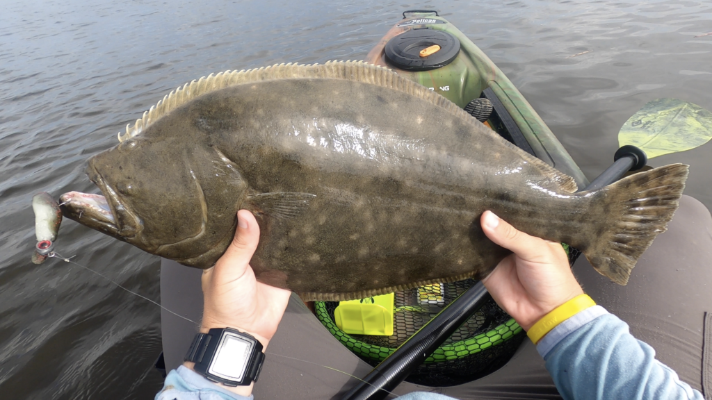 doormat flounder