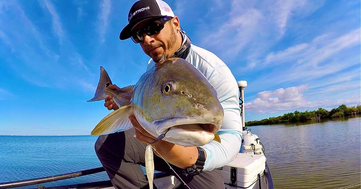 http://making%20sense%20of%20new%20redfish%20regulations