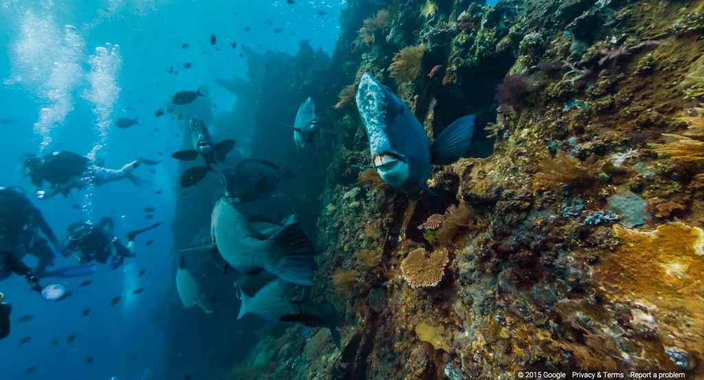 google ocean view