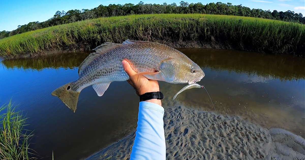 http://the%20best%20lure%20you're%20NOT%20using