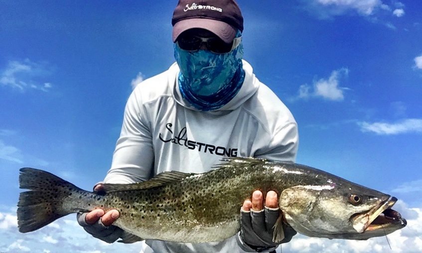 seatrout
