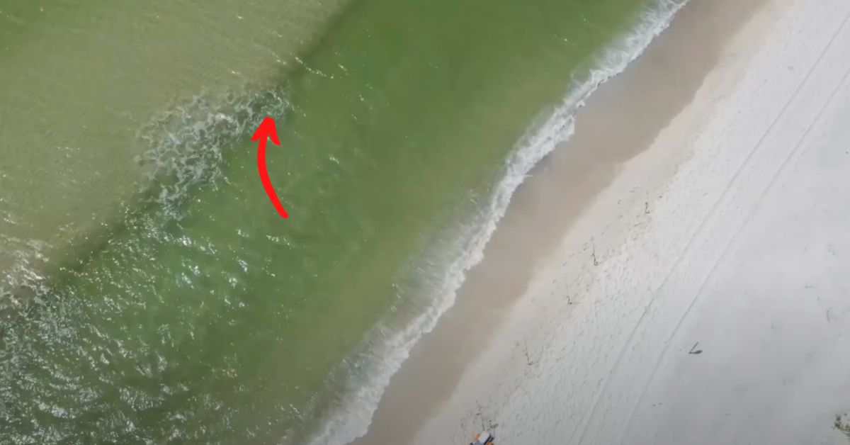 http://miraculous%20day%20of%20beach%20fishing