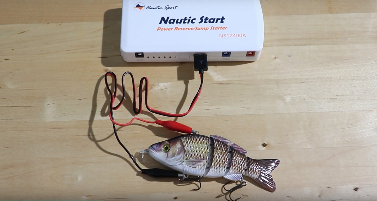 Charging the Animated Lure