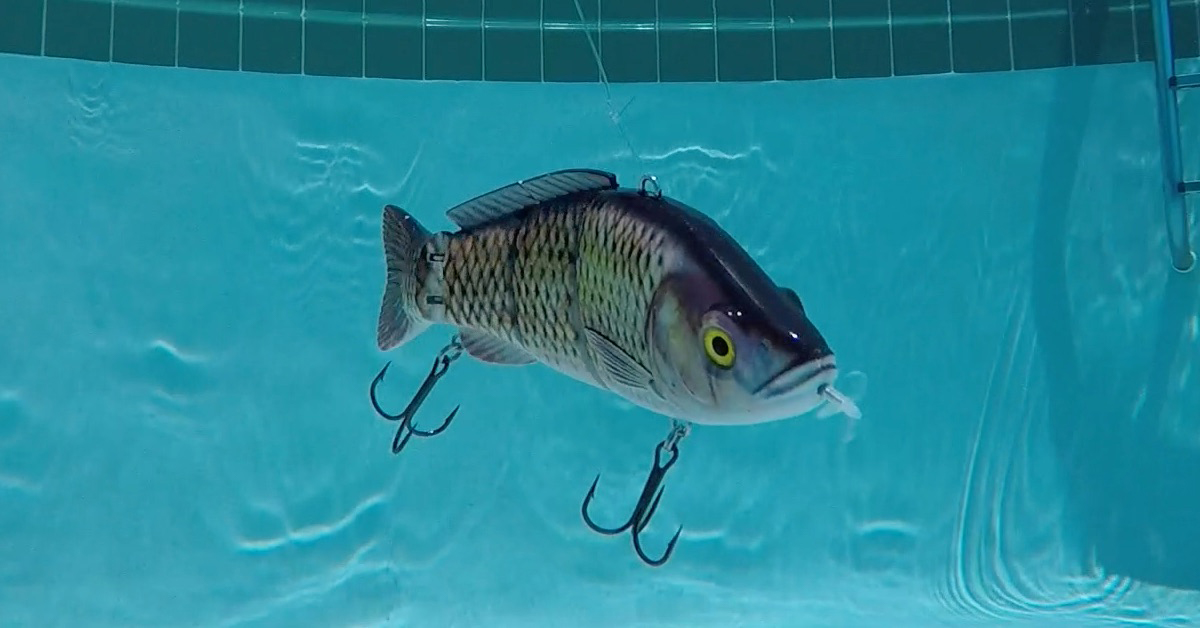 Pros of the Animated Lure
