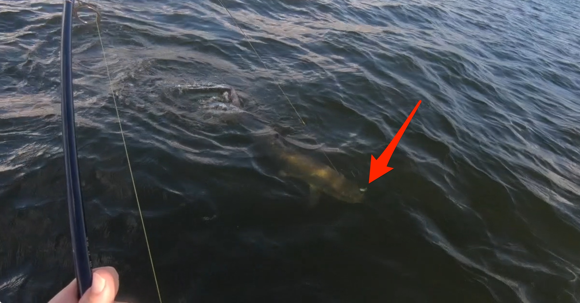 artificial lure for big tarpon