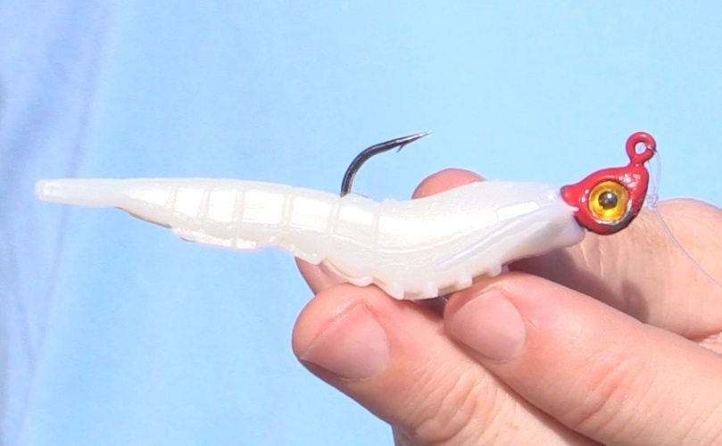 berkley gulp shrimp