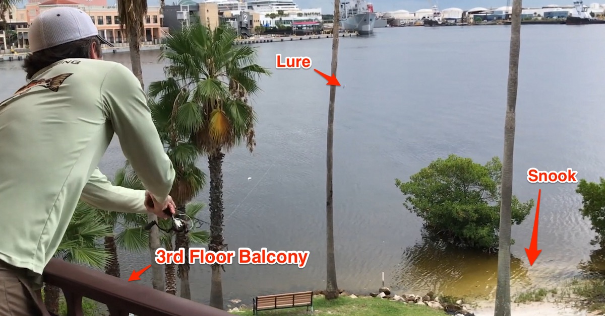 http://fishing%20from%20balcony