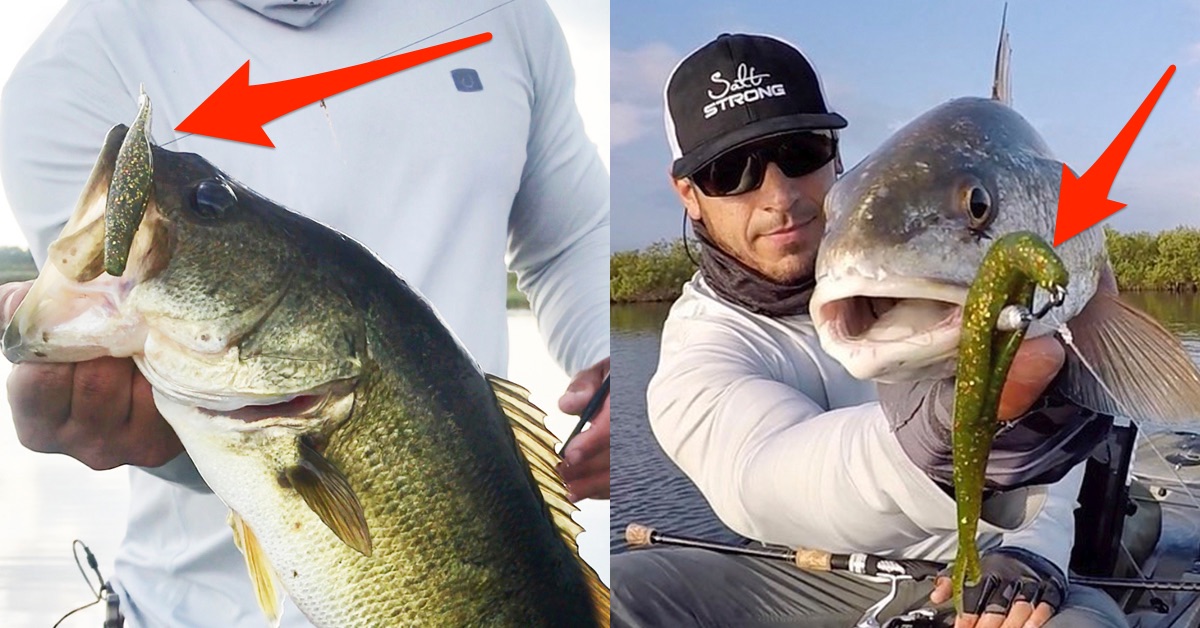 http://lures%20that%20catch%20bass%20and%20redfish