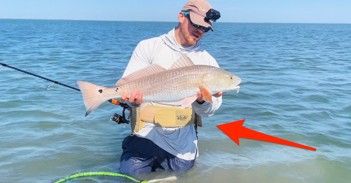 http://ForEverLast%20G2%20wade%20fishing%20belt