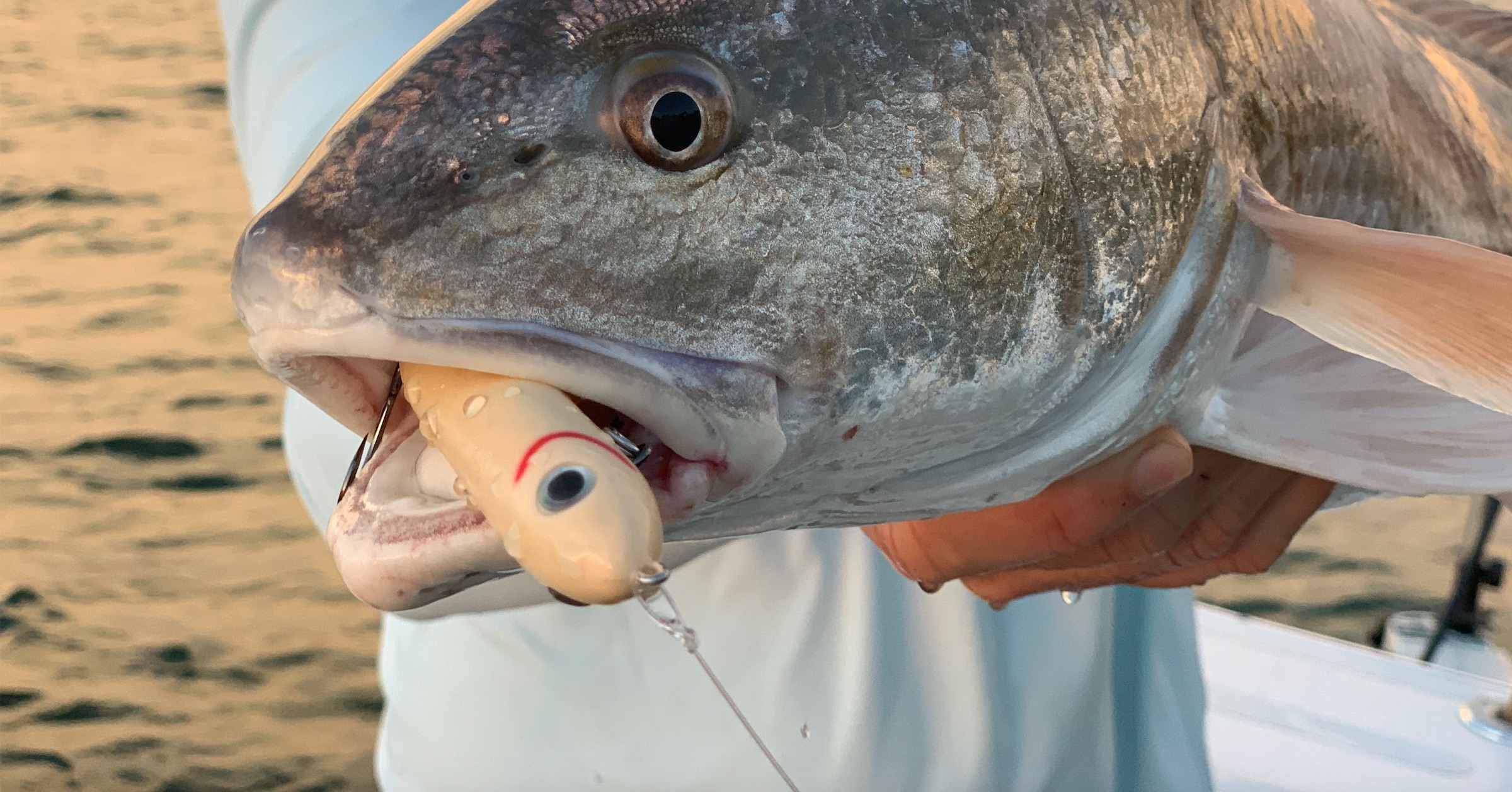 http://best%20leader%20line%20for%20topwater%20lures