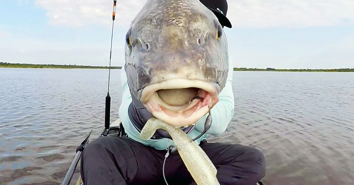 http://best%20lures%20for%20black%20drum