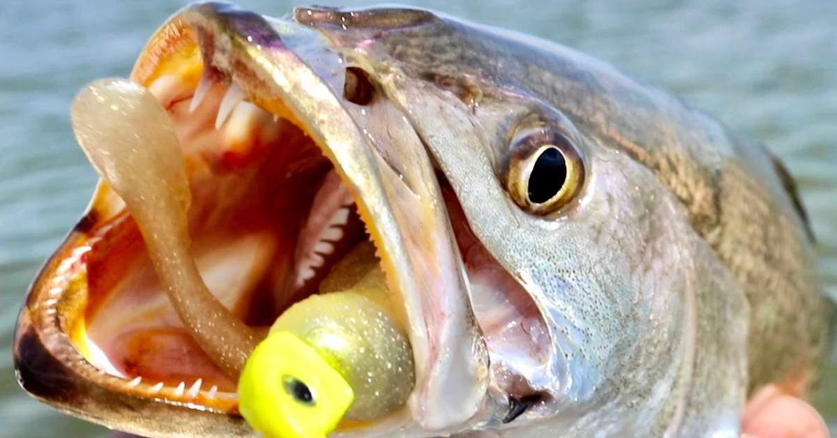 http://best%20lures%20for%20fall%20fishing
