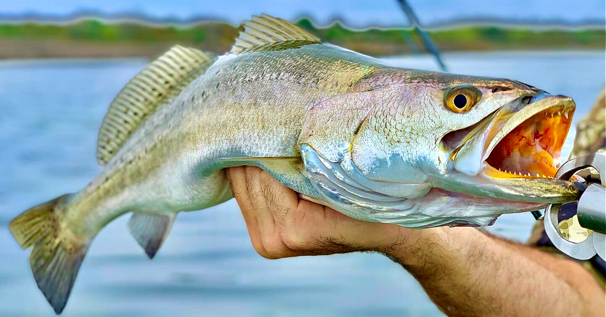 http://best%20winter%20fishing%20spots