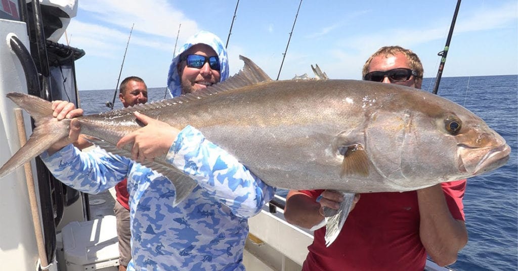 monster offshore amberjack fishing