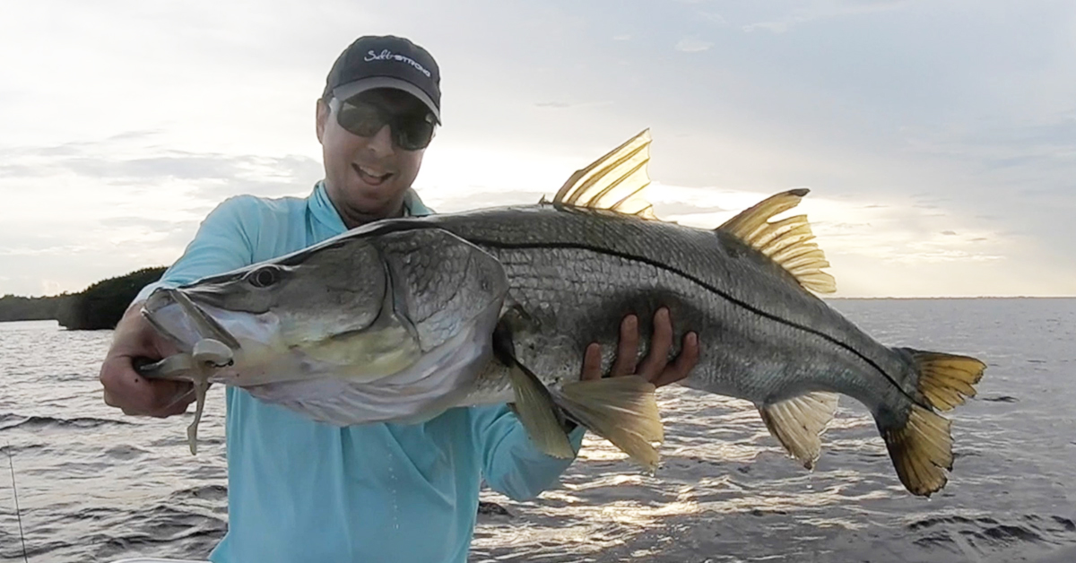 http://big%20fish%20on%20light%20line