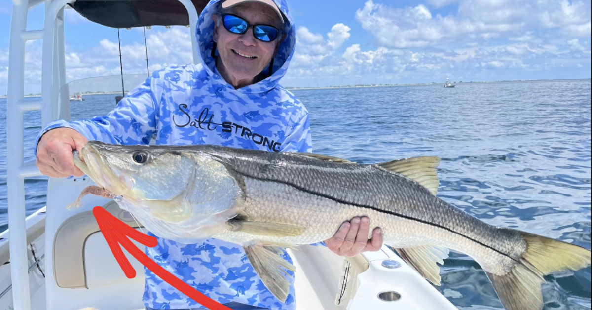http://big%20snook%20on%20power%20prawn