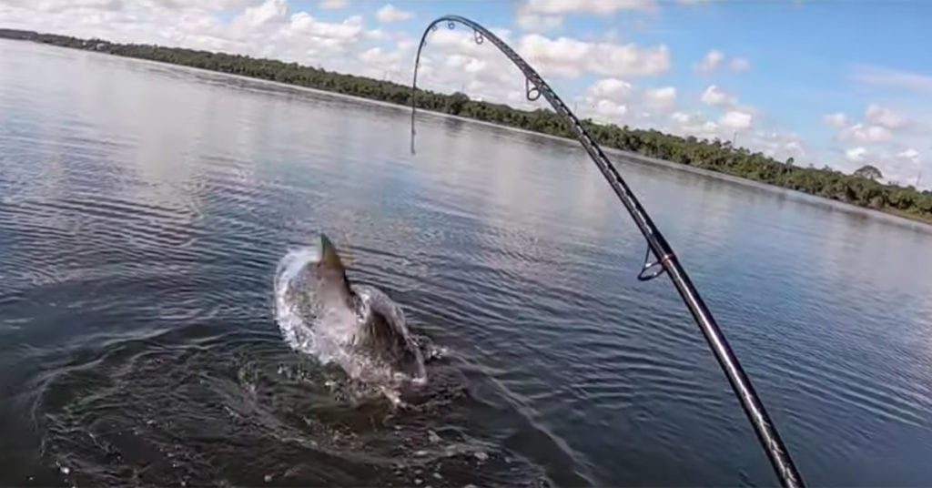 black pelican custom inshore fishing rod review