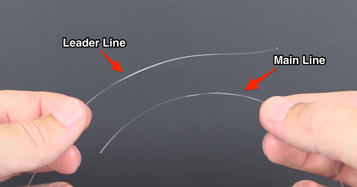 blood knot step 1