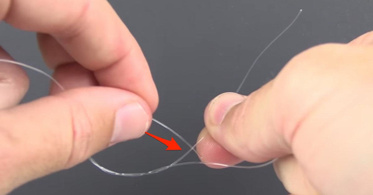 Blood Knot Step 3