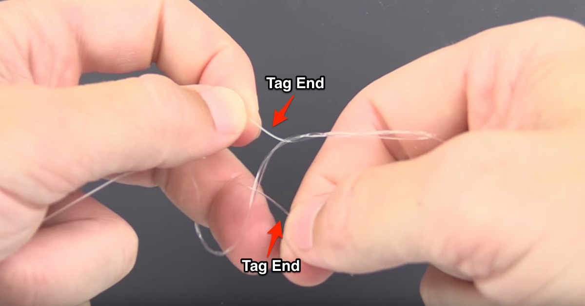 blood knot step 4