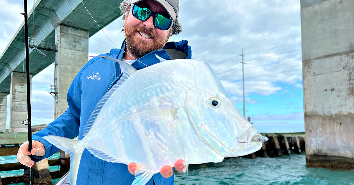 http://bridge%20fishing%20success%20with%20all%20new%20shrimp%20lure