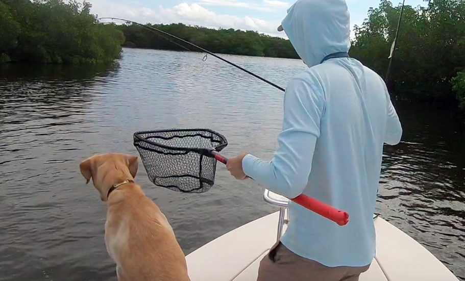 using bubba net