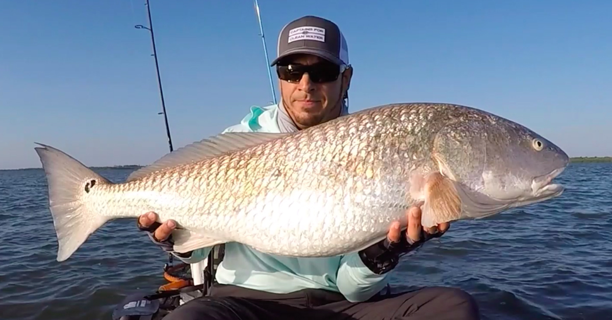 how to catch bull redfish