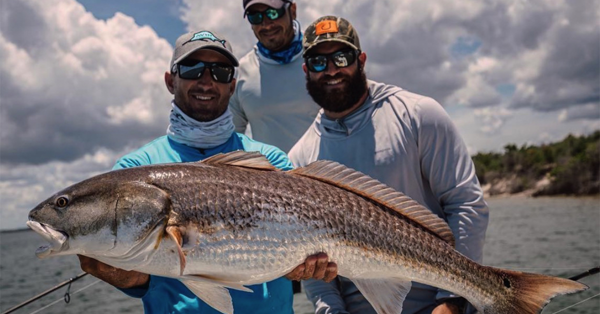bull redfish caught on live bait