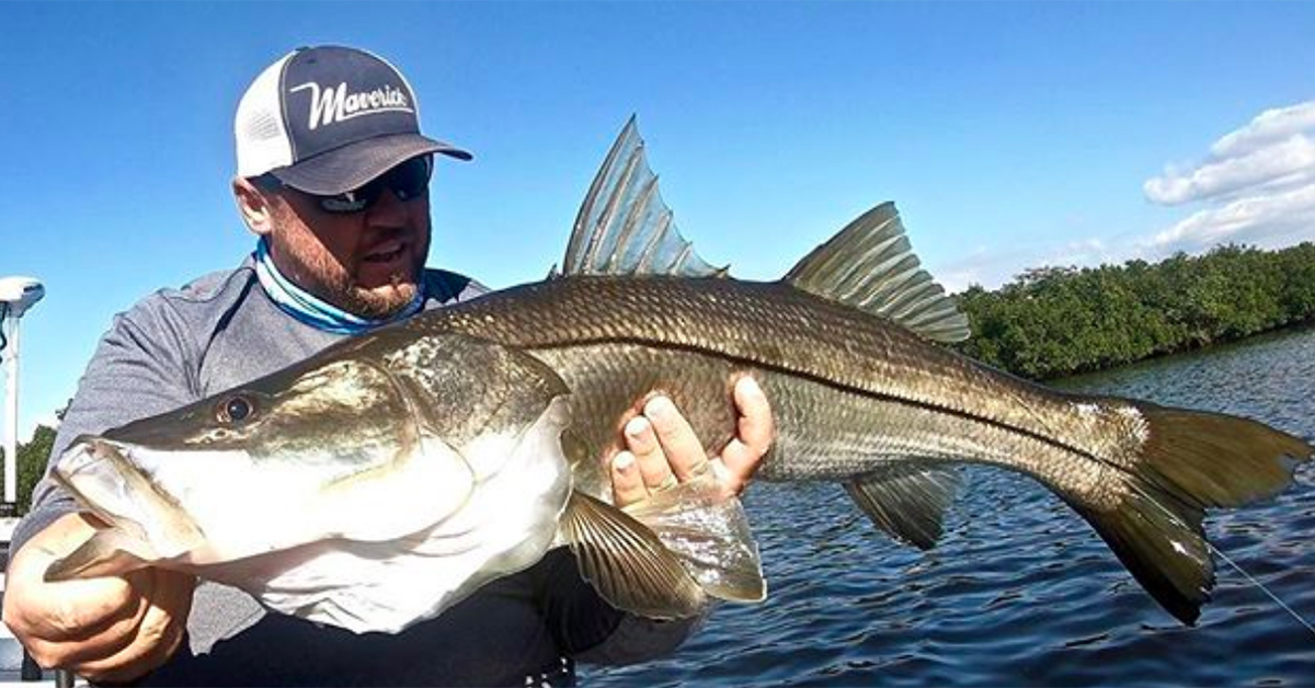 http://capt%20jay%20withers%20silver%20lining%20charters%20guidelines