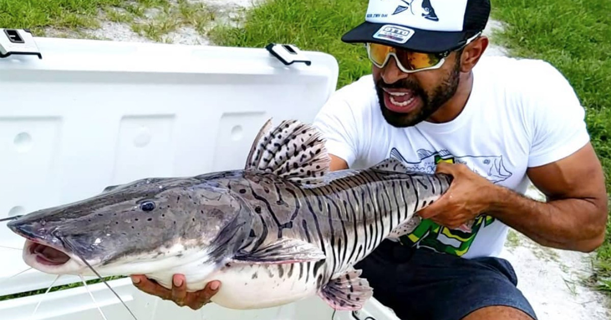 http://catch%20em%20all%20fishing