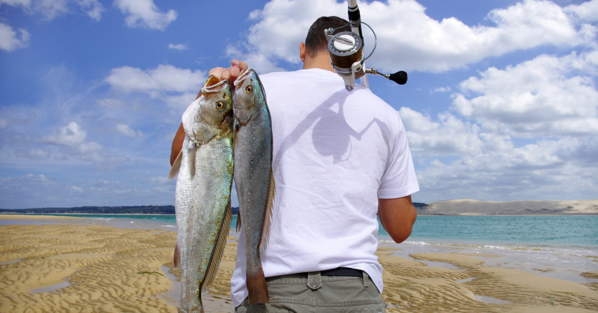 http://catch%20fish%20on%20vacation