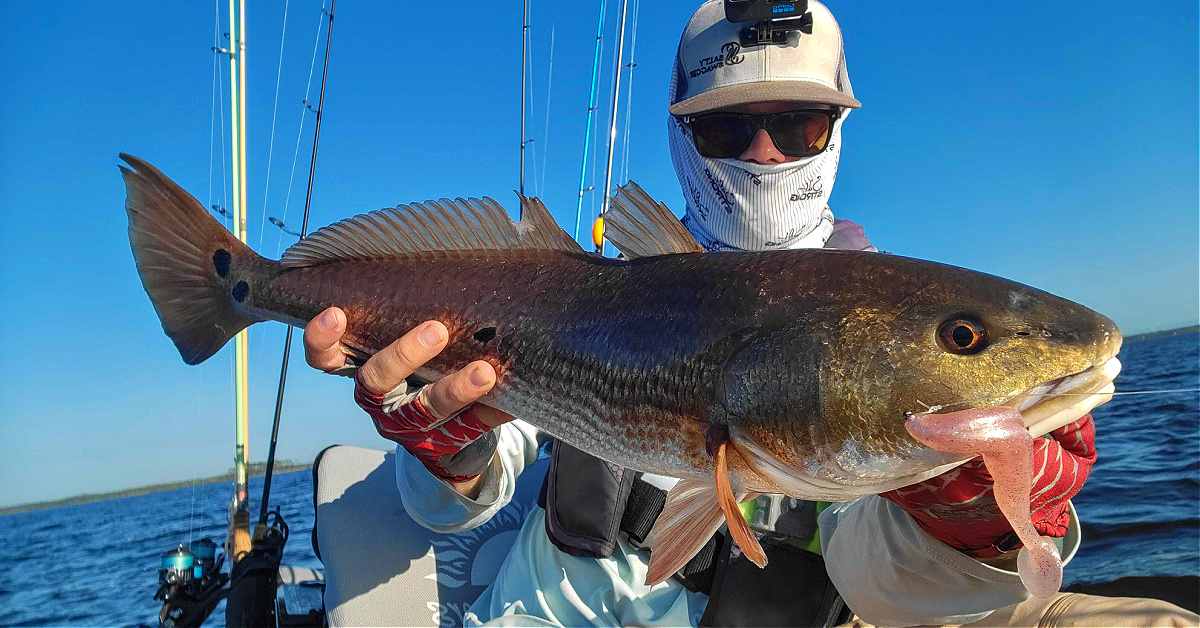 http://catch%20the%20biggest%20fish%20from%20a%20school